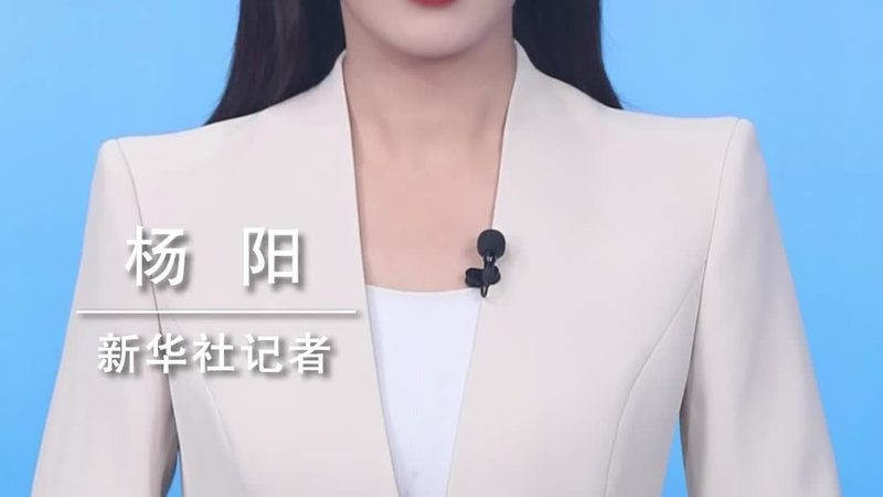 企业数字化转型的关键伙伴：数字化咨询公司业务全解析**